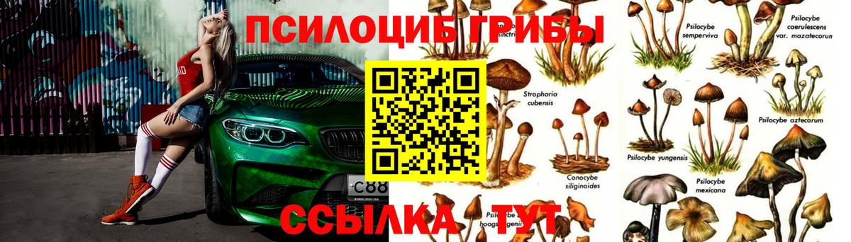 Псилоцибиновые грибы мицелий  Вход с VPN  Псилоцибиновые грибы мицелий  Шелехов 